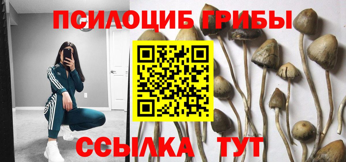Псилоцибиновые грибы Cubensis Феодосия