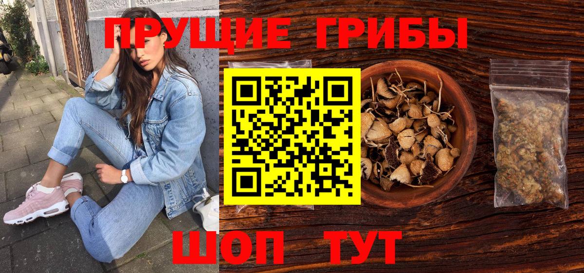 Феодосия  Псилоцибиновые грибы GOLDEN TEACHER  Галлюциногенные грибы Psilocybine cubensis  где можно купить наркотик  Вход с VPN 